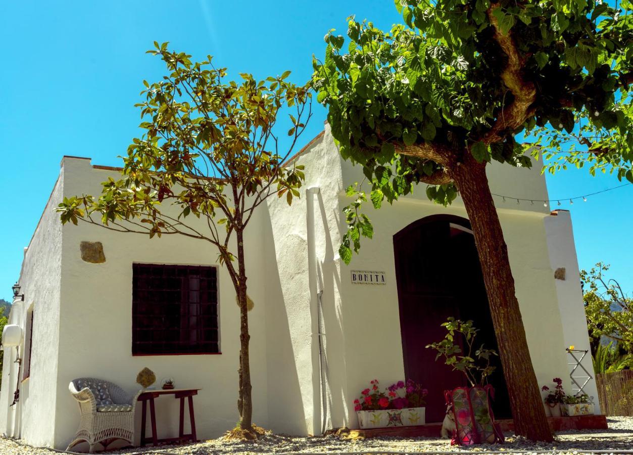 Villa Mas Romani Tarragona